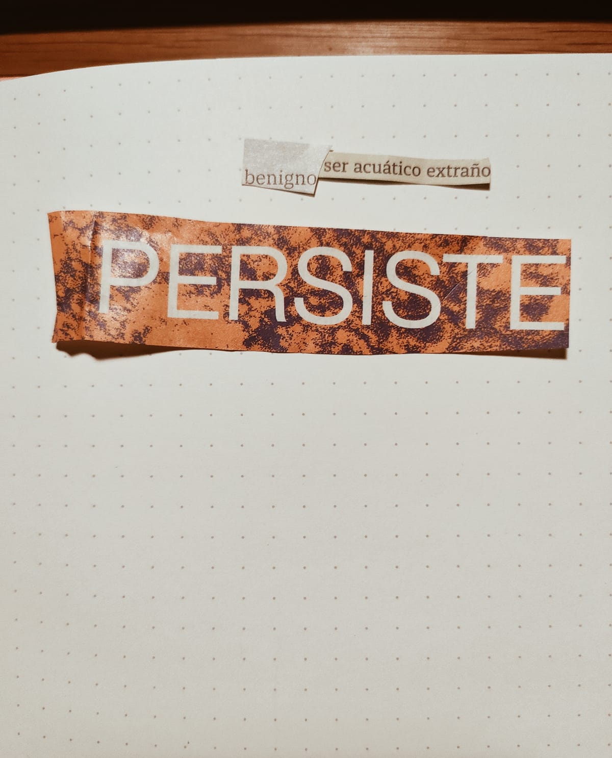 obsesiones temporales para siempre