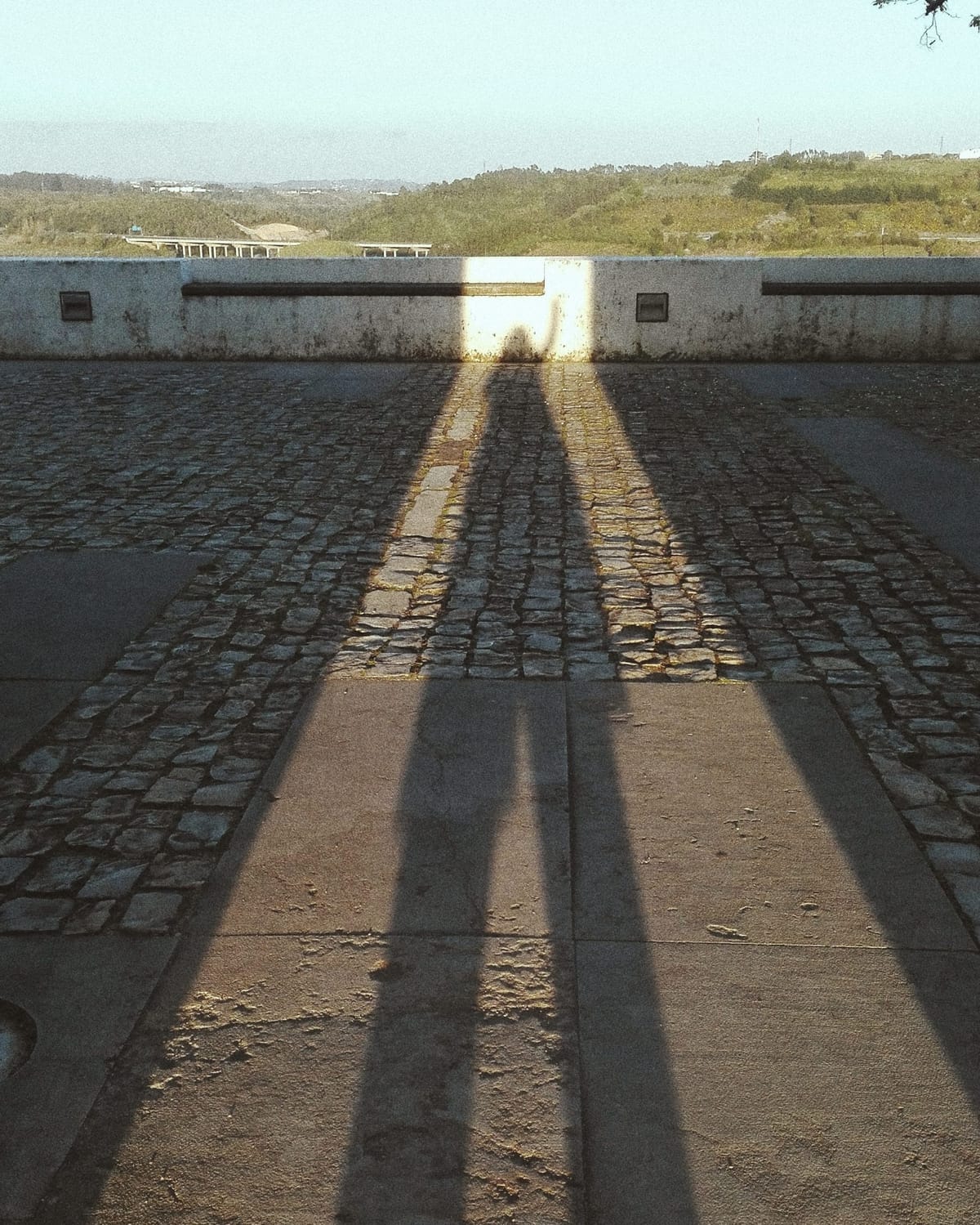 La inocuidad de ser visible