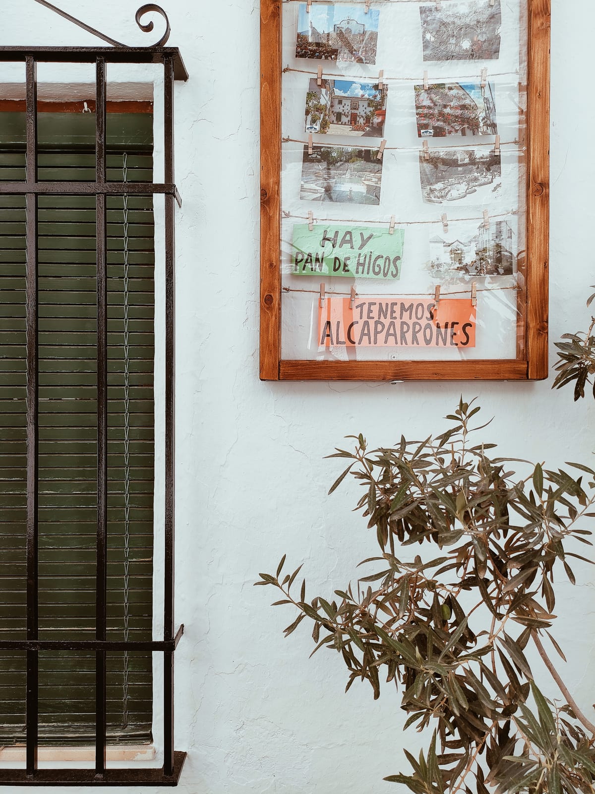 profesiones alternativas