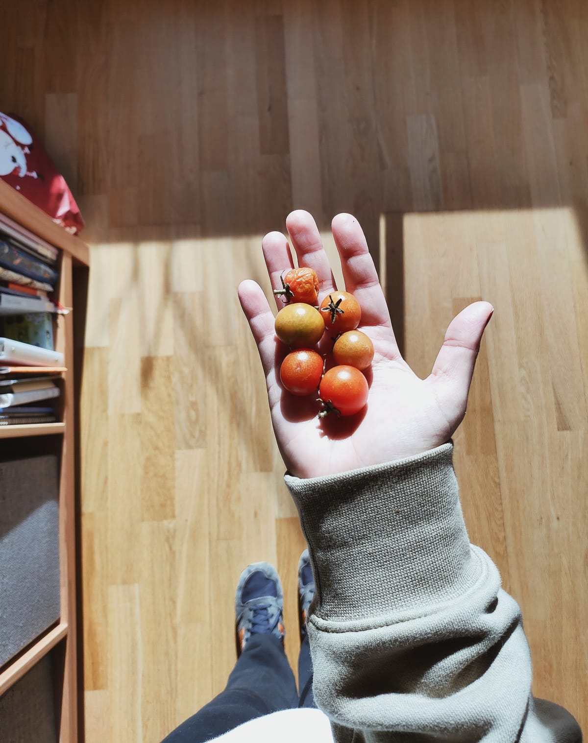 millennials mayorcitas