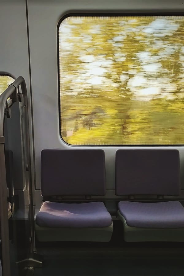 el elefante en la habitación