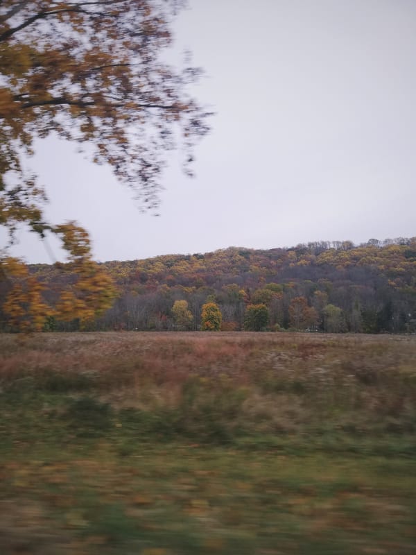 yo quise a Dolly primero